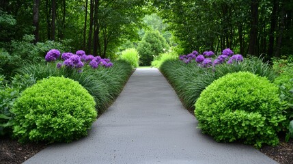 Symmetry in Layered Planting, Analyze how symmetrical layering of plants, with shorter plants in the front and taller ones in the back, creates depth and structure in minimalist garden layouts