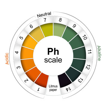 Universal Indicator Vector