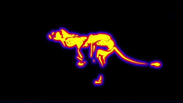 animation neon running cheetah