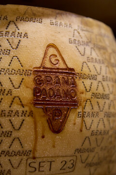 Branded Grana Padano cheese during maturation