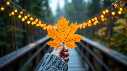 Obraz premium Hand Holding Autumn Leaf on Illumined Wooden Bridge in Forest