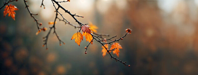 Autumn tree branch with leaves that are wet and falling