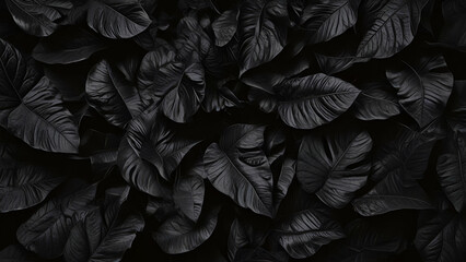 Fototapeta premium Textures of abstract black leaves for tropical leaf background. Flat lay, dark nature concept, tropical leaves, Can be used as background,