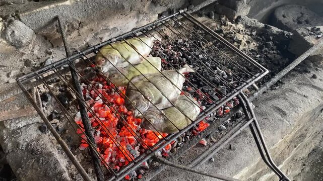 4k video footage of Ikan Bawal Bakar. Someone grilling pomfret fish during weekend camping outdoor activity. Concept for healthy eating, whole animal protein, omega-3.