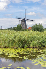 Idyllic view of a canal and a windmill to protect the low-lands around Kinderdijk against flooding