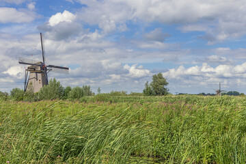 Windmills from the year 1740 integrated in a wetlands landscape to protect the low-lands around Kinderdijk against flooding
