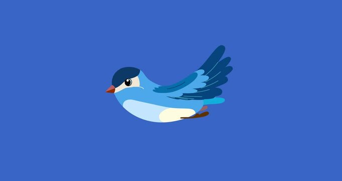 Blue passerine bird cartoon animation character flying isolated. Blinking eyes seamless loop behaviour isolated animal part of a serie moves. 4K video film movie for any landscape background.