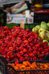 Poivrons rouges et oranges au marché de Palerme en Sicile