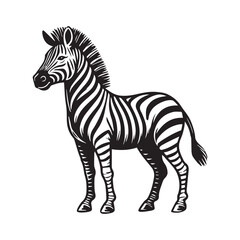 Fototapeta premium Zebra vector Illustration in black and white - Stylized Zebra Outline Clipart Logo 