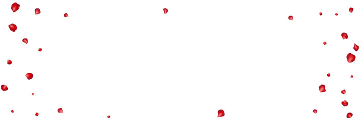 Flying red petals transparent background. Beautiful floral overlay with lots of rose petals.