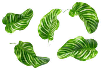 PNG Vibrant tropical leaves pattern