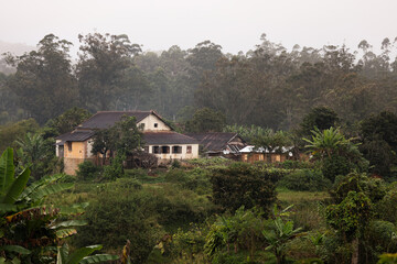 A tranquil village in Madagascar surrounded by lush greenery and misty hills during the early morning hours