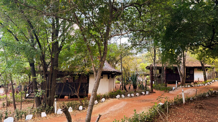 Traditional village life in Madagascar surrounded by lush greenery and earthy pathways during daylight hours