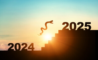 2024年から2025年へ階段を駆け上がる蛇　2025年新年イメージ　令和七年年賀状素材