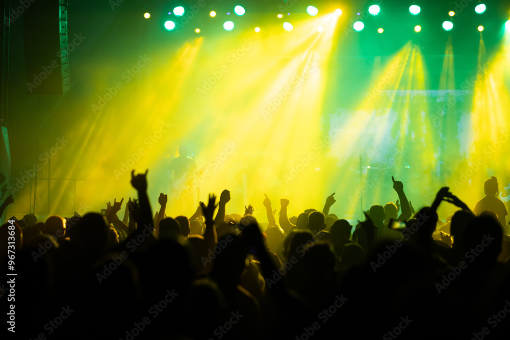 Wall mural crowd at concert and colorful stage lights.