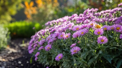 Pink Flowers in Garden