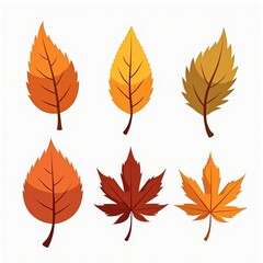 Autumn Leaves Illustration Showing Six Different Leaf Designs in Warm Fall Colors