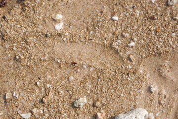 Beach sand texture is used for the background
