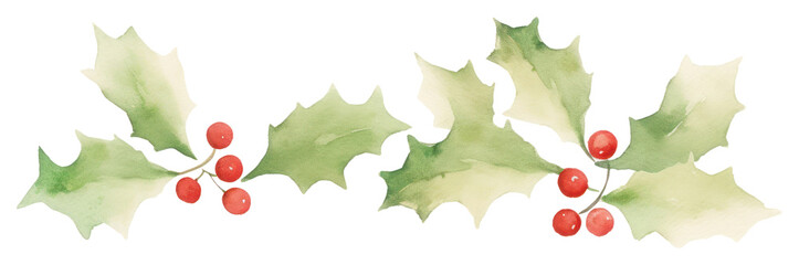 PNG Watercolor christmas holly leaves divider leaf illustration berries.
