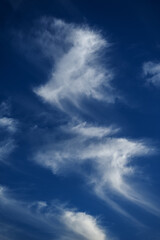 Fototapeta premium Beautiful dramatic sky with white clouds.