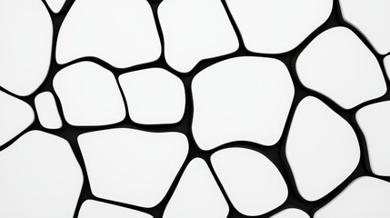 A captivating black and white design featuring a unique Voronoi pattern that emphasizes geometric simplicity from above.