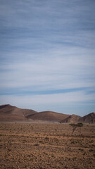 The desert landscape of Southern Morocco