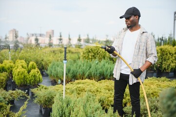 African american Gardener watering the plants