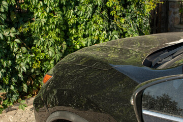 Part of the hood of a black car