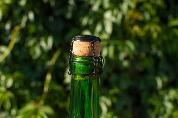 Closed bottle with a wine