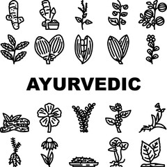 Fototapeta premium ayurvedic herbs medical icons set vector. ashwagandha turmeric, brahmi neem, tulsi shatavari, triphala amla, gotu, kola guggul ayurvedic herbs medical black contour illustrations
