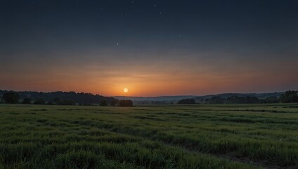Fototapeta premium sunset over the field