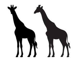 Standing giraffe vector silhouettes isolated on a white background