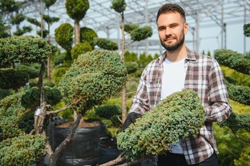 Male employee of garden shopping center inspects product. Department with potted plants, is...