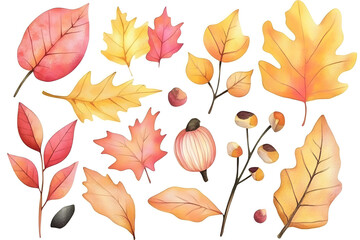 Obraz premium Hand drawn autumn collection of colorful plants and leaves isolated on white background 