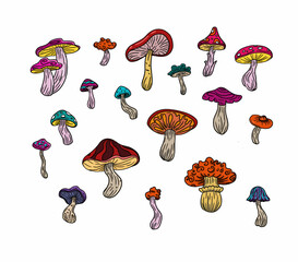 Set of cartoon hand drawn mushrooms. Cute illustration.