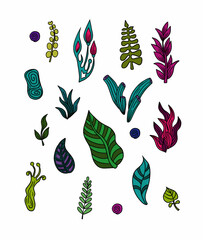 Colorful Abstract Botanical Elements on Black Background