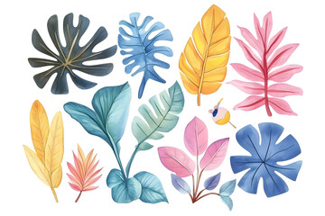 Set of tropical colorful hand drawn watercolor leaves isolated on white background