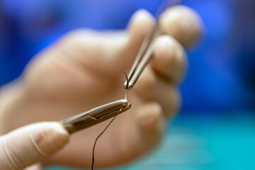 A surgeon's hand is holding a curved surgical needle using a needle holder Mayo-Hegar) and surgical...