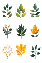 Fototapeta premium Set of autumn colorful hand drawn leaves isolated on white