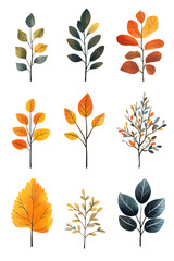 Set of autumn colorful hand drawn leaves isolated on white