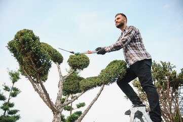 A young gardener cuts a tree with scissors. Gardening and tree shop concept