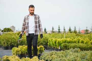 Fototapeta premium Male employee of garden shopping center inspects product. Department with potted plants, is preparing to advise clients
