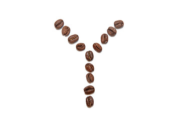 brown coffee bean letter Y