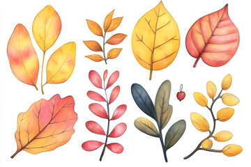 Hand drawn autumn collection of colorful plants and leaves isolated on white background