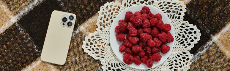 a summer picnic surrounded by vibrant raspberries
