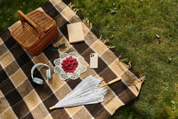 a picnic blanket, surrounded by fresh raspberries and summer vibes