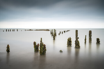 Pilmore Groynes