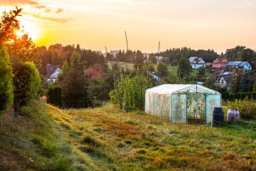 Zach&oacute;d słońca nad wiejską szklarnią i ogrodem warzywnym | Sunset Over a Rural Greenhouse and vegetable garden