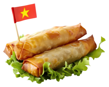 PNG Vietnamese spring rolls on lettuce