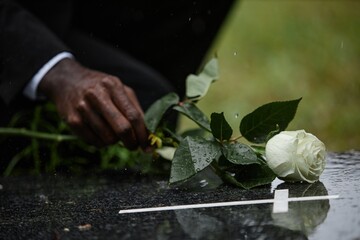 Close up on hand of Black man placing white rose on granite tombstone at graveyard in memory of...
